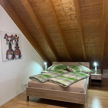 Ferienwohnung Zentral In Loerrach - Konus Gaestekarte Inklusive Exteriér fotografie